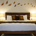 Casa Ticul Hotel Boutique - 5Th Ave (Adults Only)