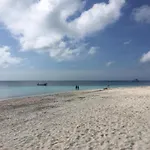 Caribbean Apartment 2