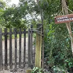 Cenote Escondido