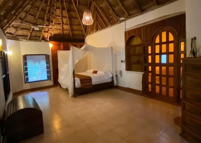 Jungle Oasis By The Beach: Casa Selva On 38Th Street