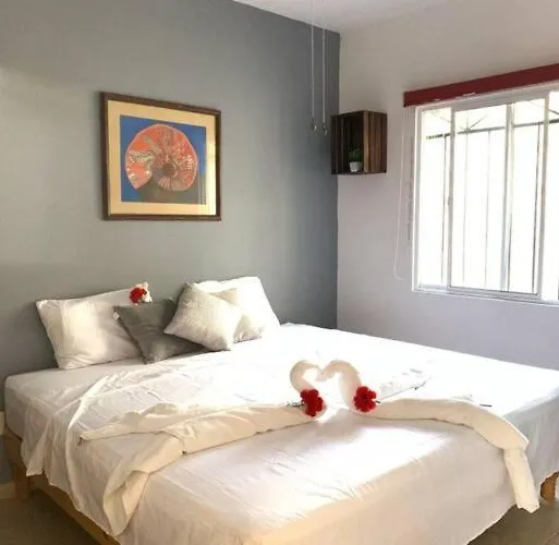 Departamento En Playa Del Carmen, La Casa De Leo 3