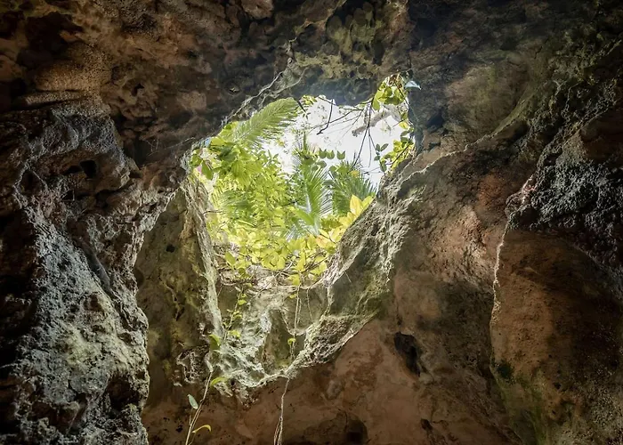 Xcaret Jungle Private Cave Stay