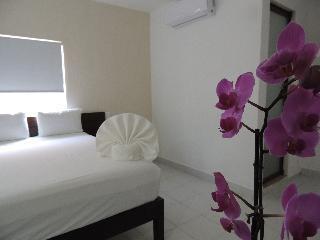 Shaddai 2* Playa del Carmen