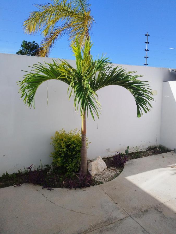 Residencial Paraíso Casa Jade *