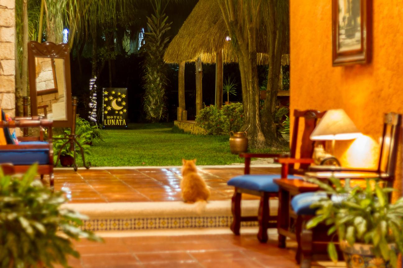 Lunata - 5th Avenue (adults Only) Hotel Playa del Carmen