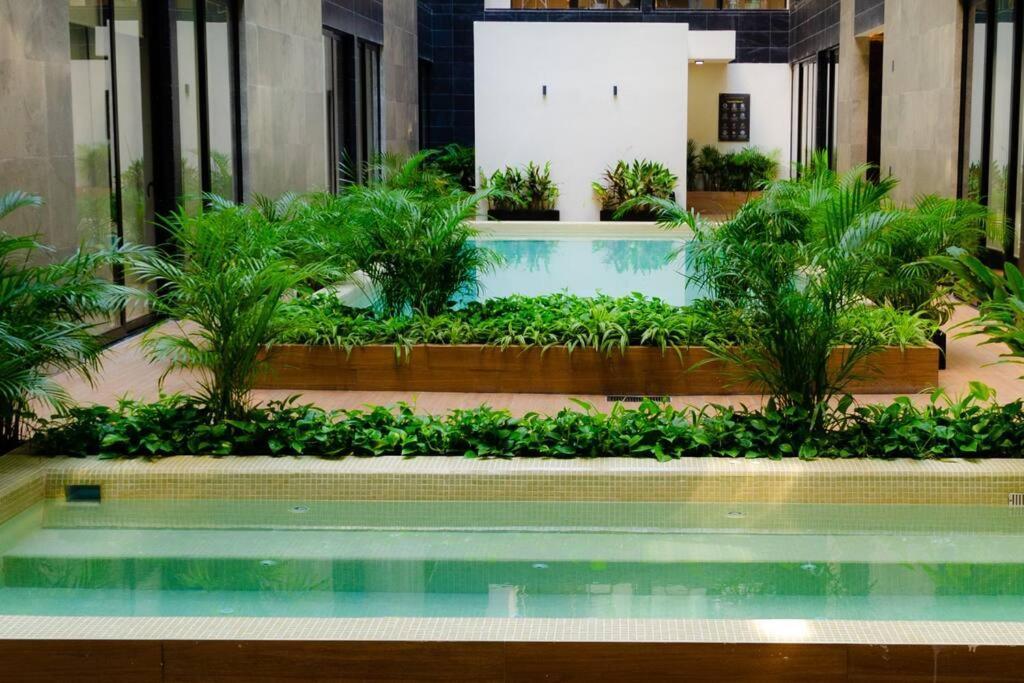 Pool View / Rooftop Pool, Jacuzzi, Gym & Bar Apartment Playa del Carmen