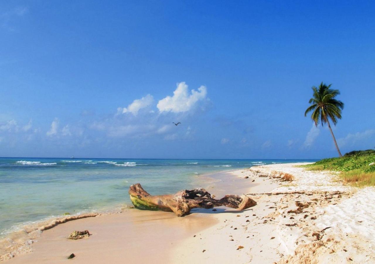 Casa Bugambilias Playa Bed and breakfast Playa del Carmen