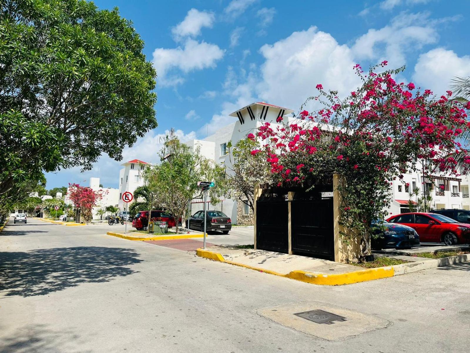 Apartment Amplio De 2 En