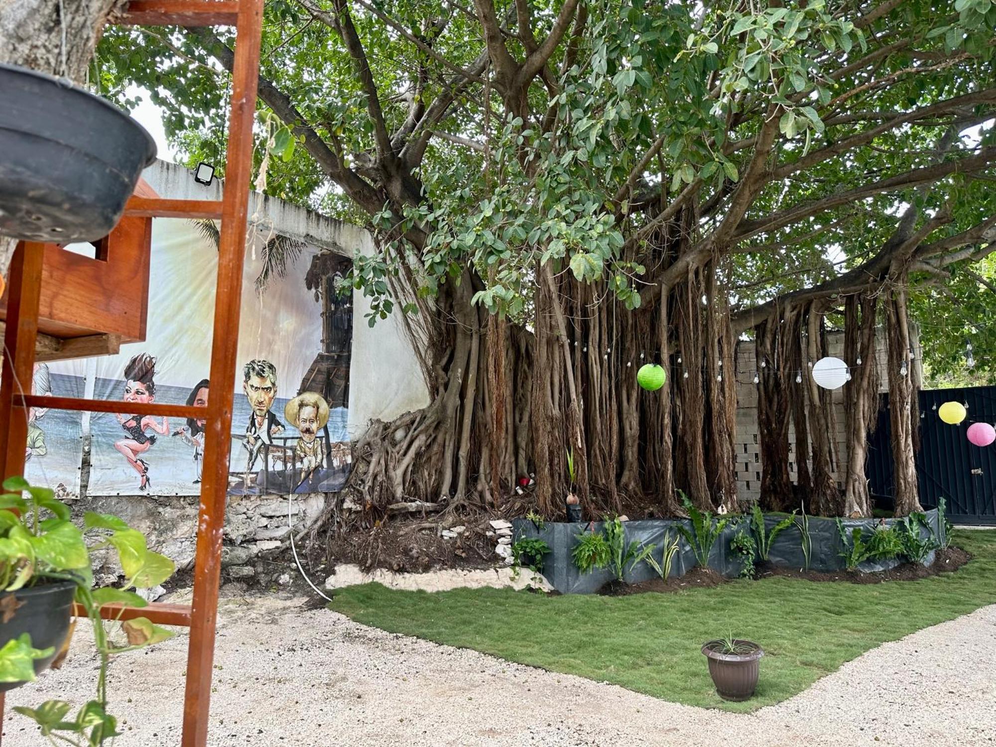 La Quinta Caribena Căn hộ