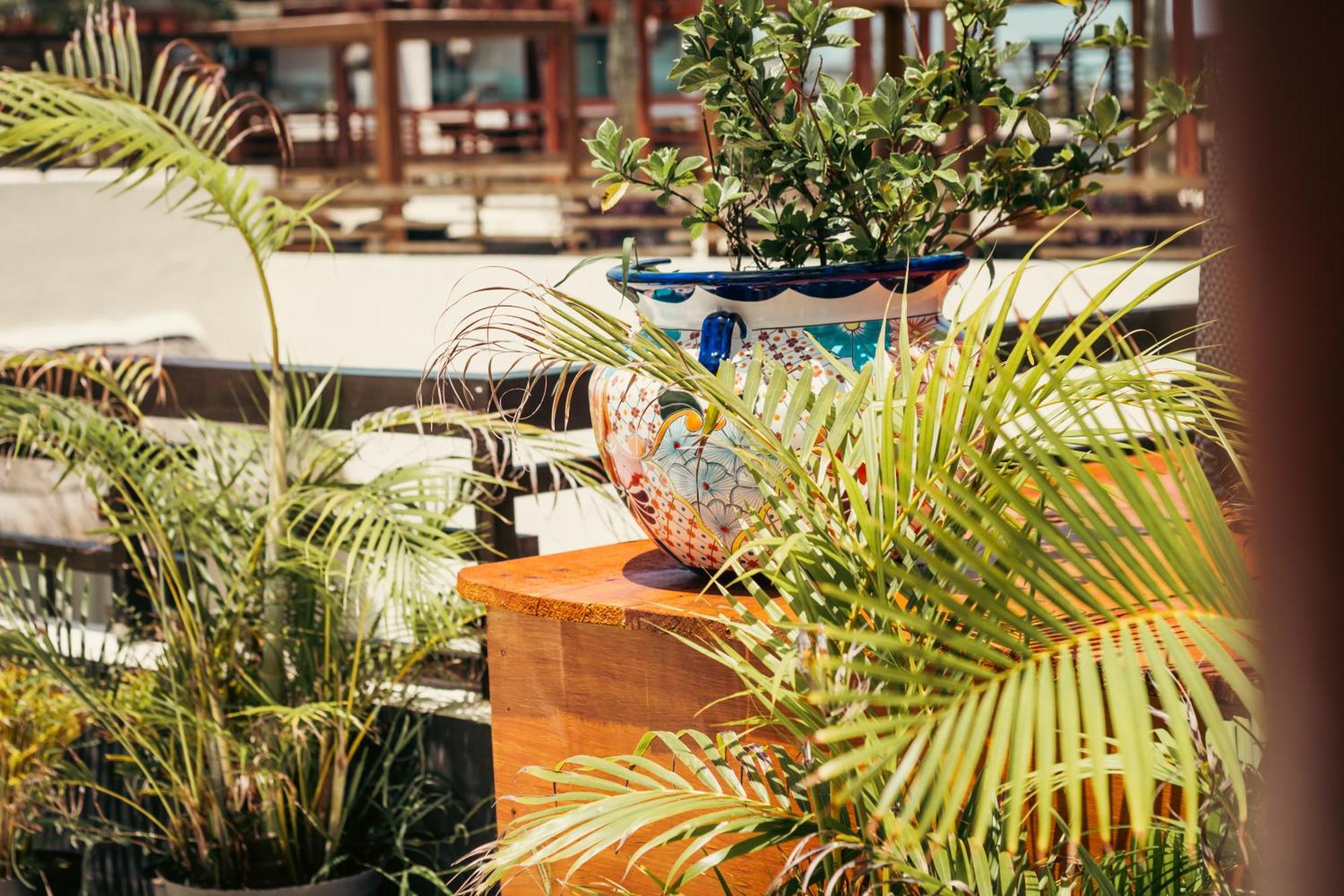 Aldea Thai Apartment *