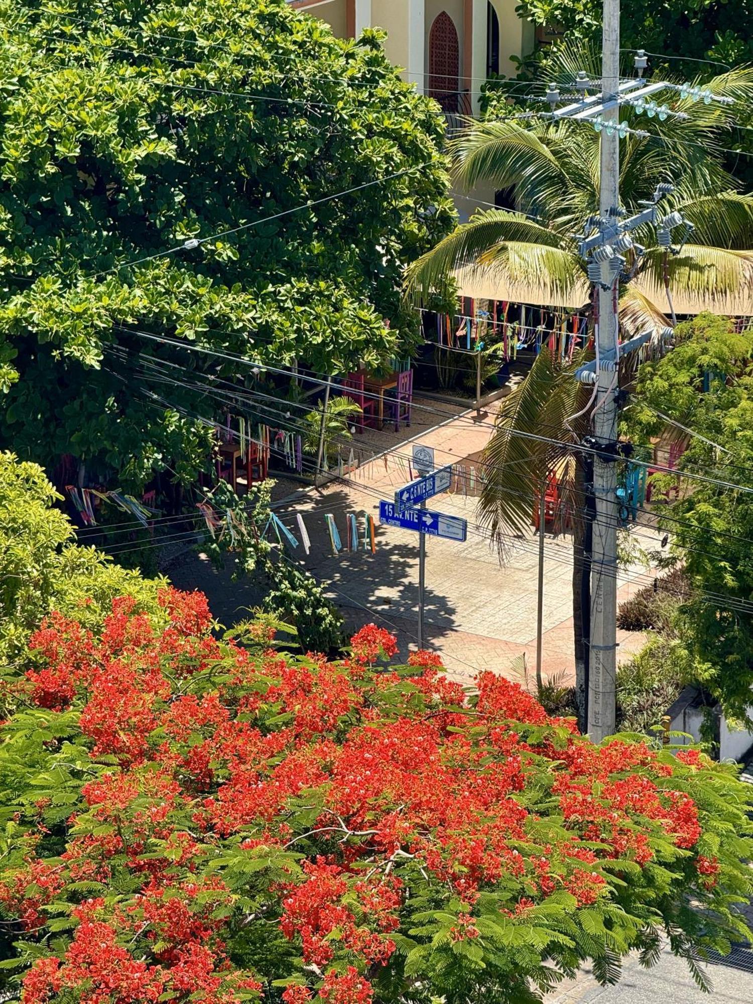 Gasthof Mini By Illusion Playa del Carmen