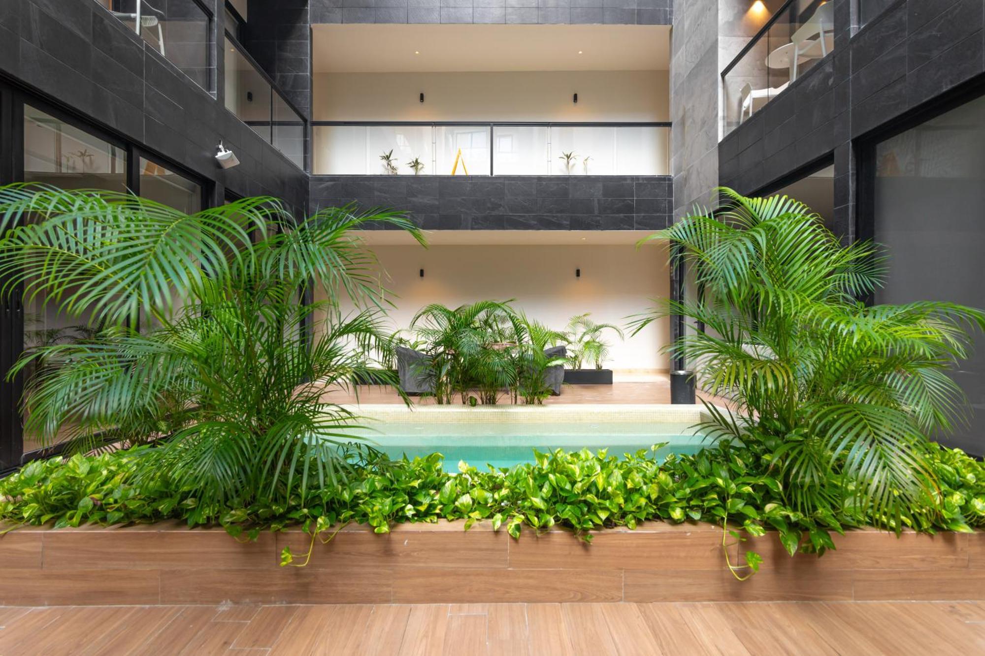 Musa Del Carmen By Boutique Mx Apartment *
