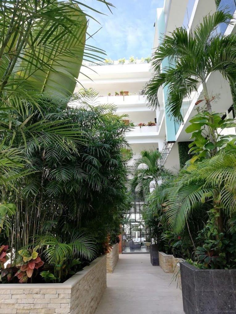 Aparthotel King With Balcony, Pool, Gym And Sauna Playa del Carmen