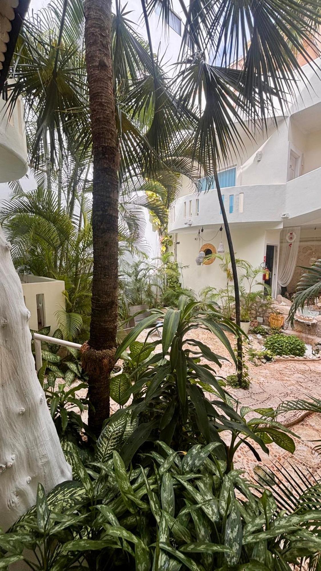 Coco Rio - Mamitas Area Hotel *