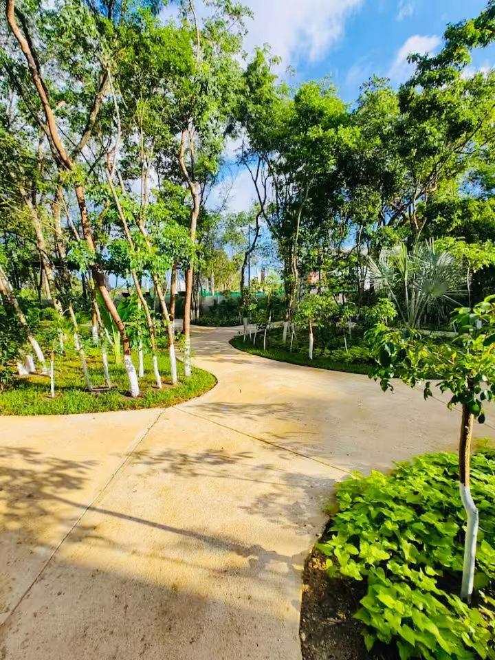 Apartamento Departamento En