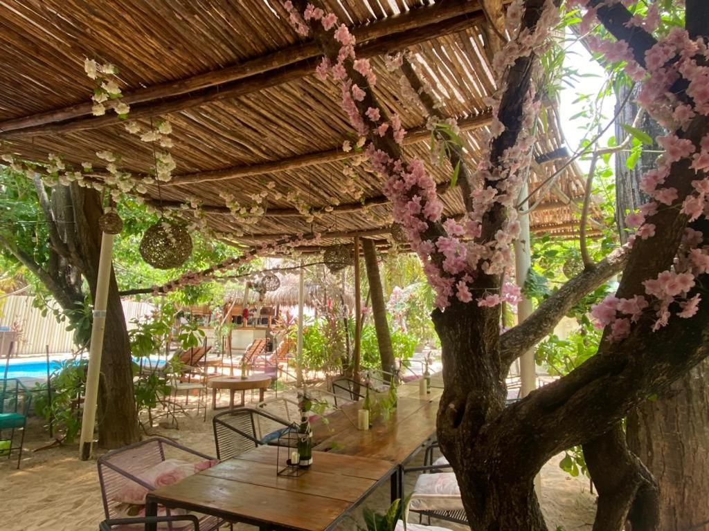 Nature Inn