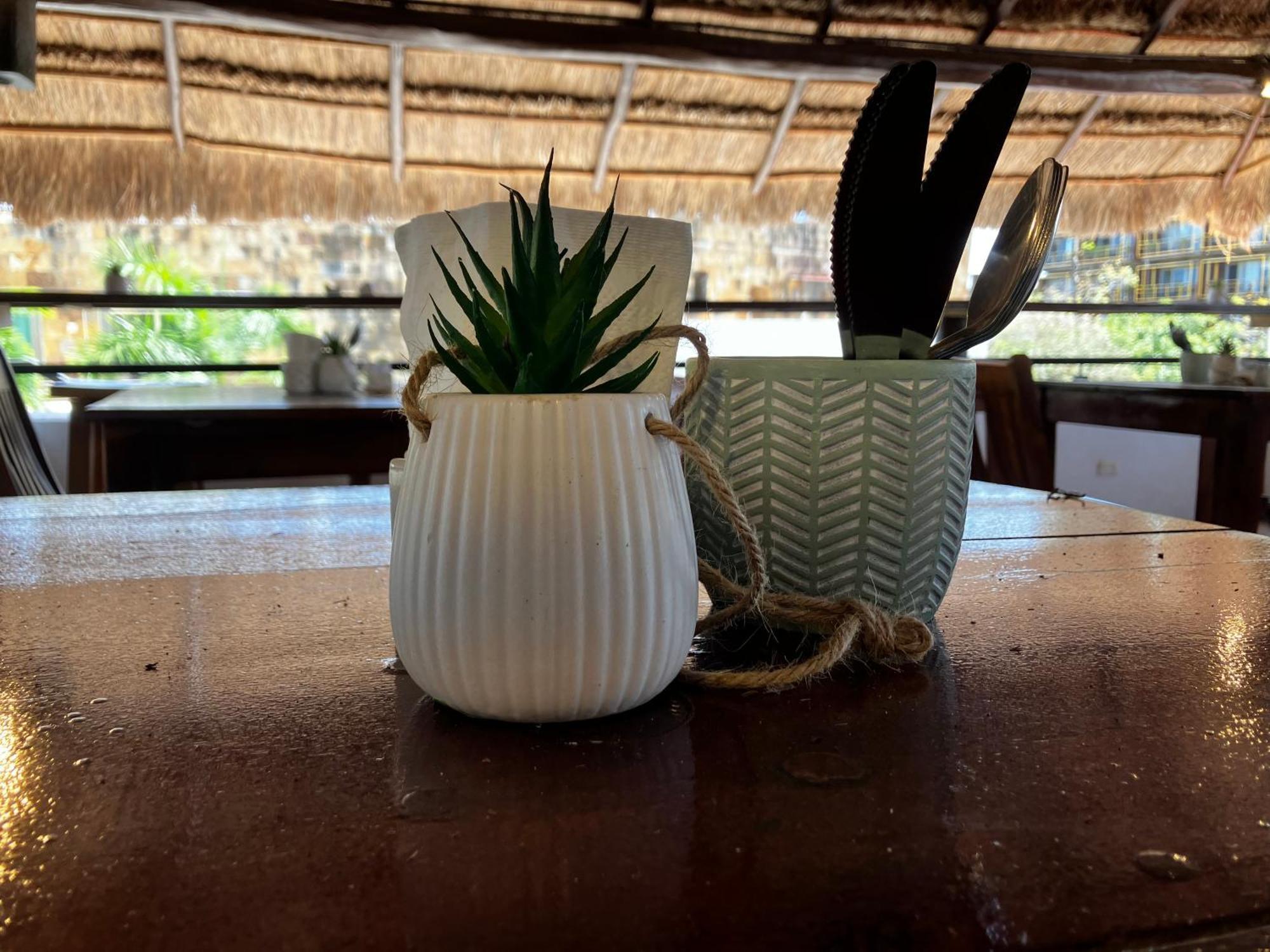 Aria Rooftop & Pool Now With Breakfast * Playa del Carmen