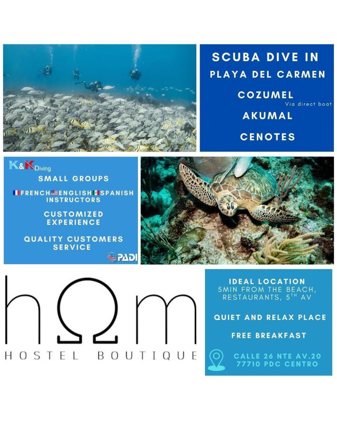 Nhà trọ Hom Boutique Playa del Carmen