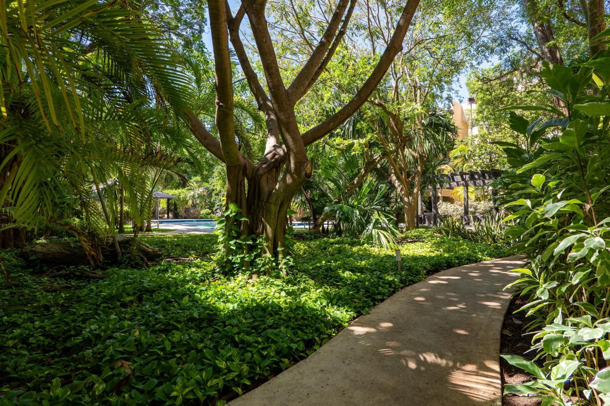 Apartamento Vaiven Playa del Carmen