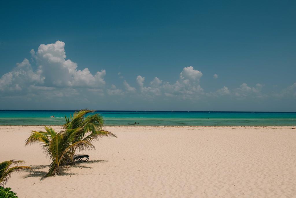 Bed & Breakfast Bed & Breakfast Buen Dia Playa Playa del Carmen