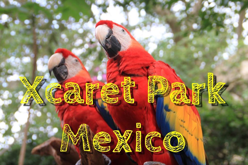 Apartamento My House Playa del Carmen