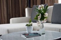Live Aqua Boutique Resort Playa Del Carmen Hotel 5*