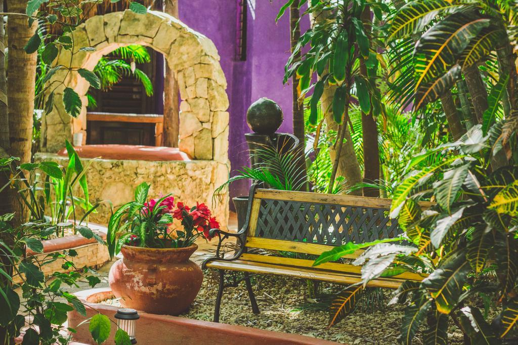 Cocos Adults Only Khách sạn Playa del Carmen