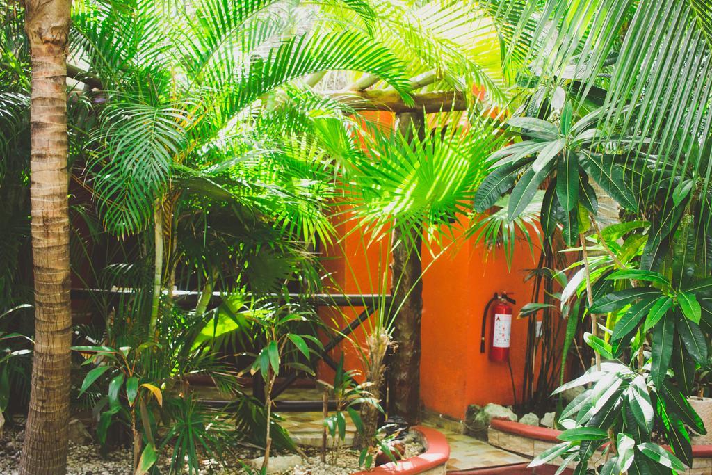 Cocos Adults Only Khách sạn
