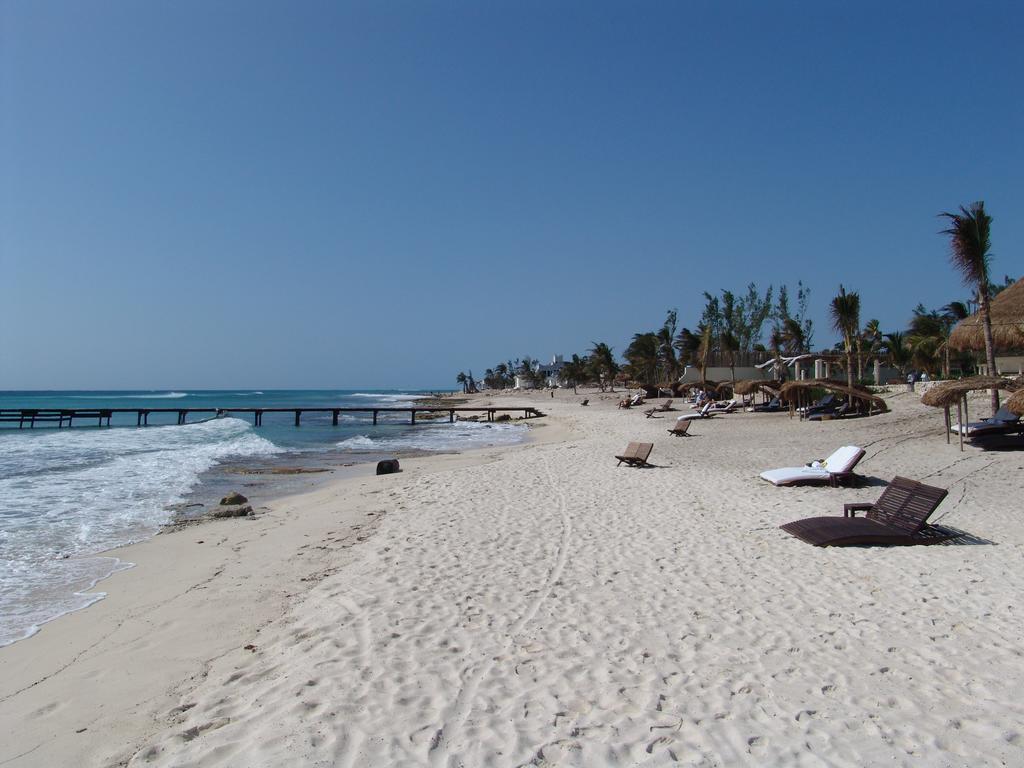 Khách sạn Cocos Adults Only 3*