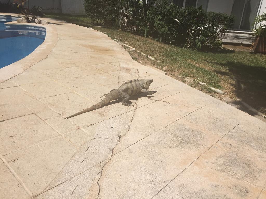 Casa Mi Tesoro Pensión Playa del Carmen