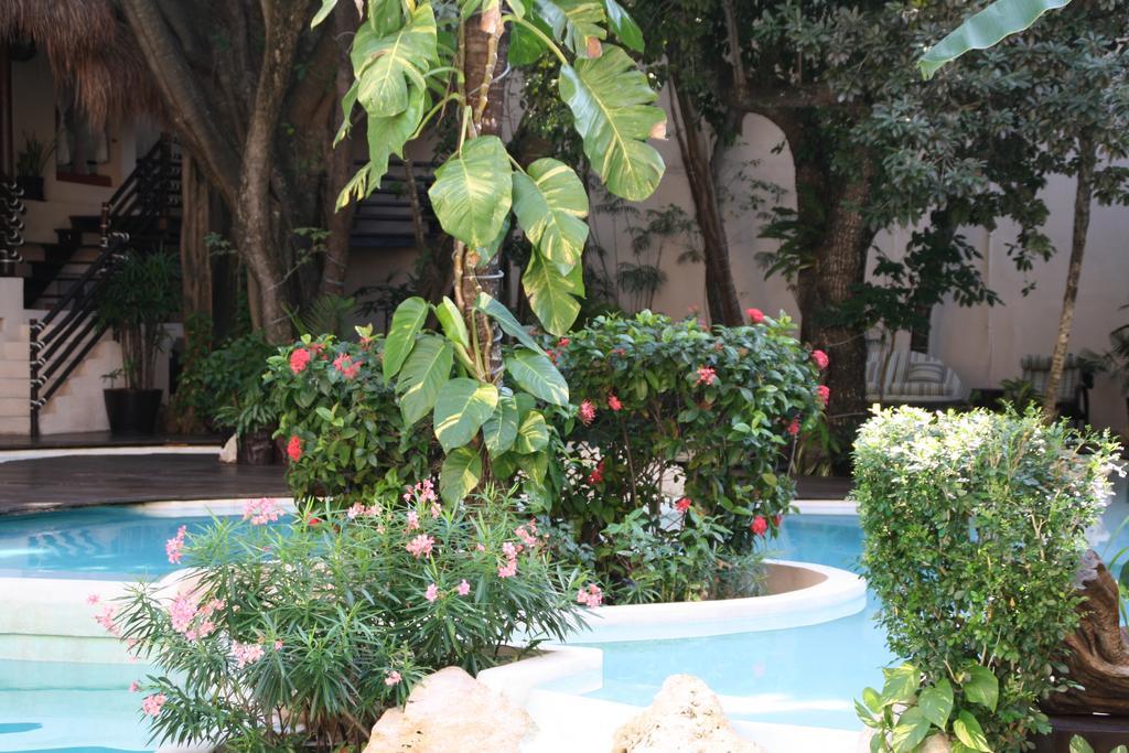 La Tortuga & - Adults Only 4* Playa del Carmen