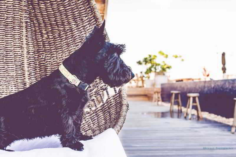 Hotel Live Aqua Boutique Resort Playa Del Carmen Playa del Carmen