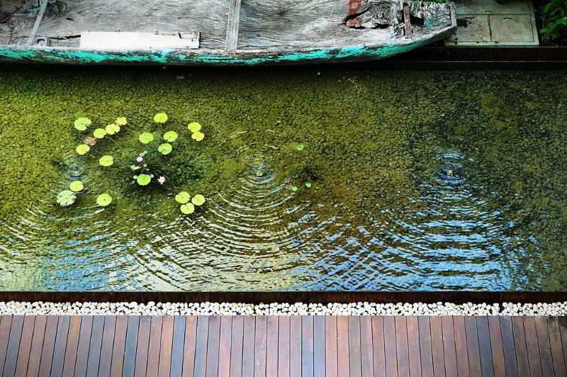 Live Aqua Boutique Resort Playa Del Carmen Hotel Playa del Carmen