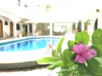 Hotel San Ignacio 3*