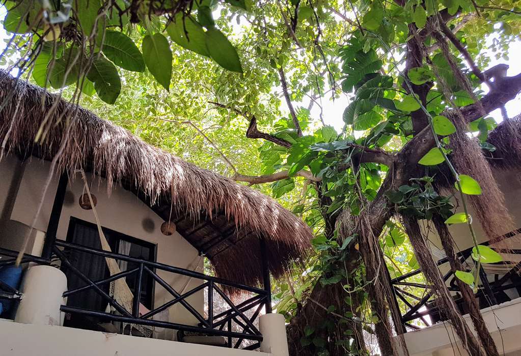 Club Yebo Hotel