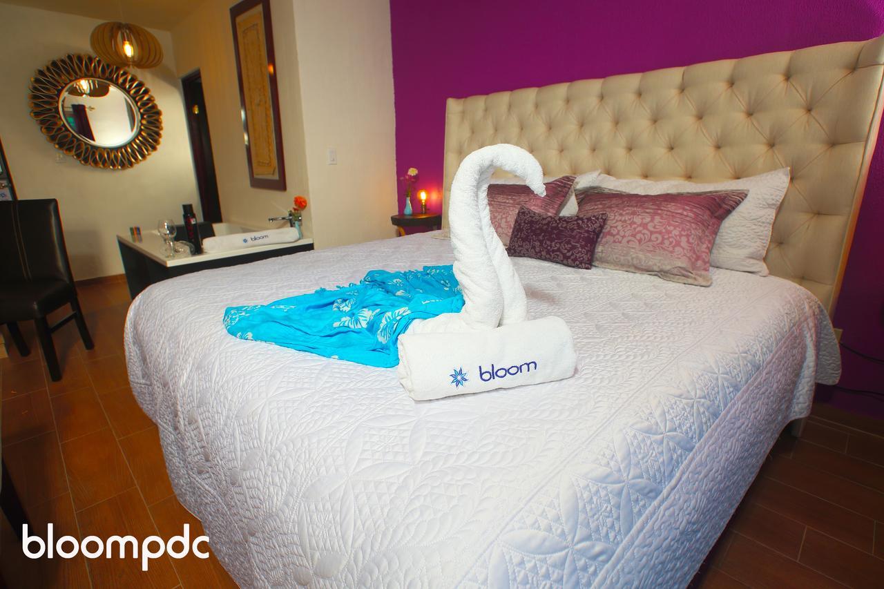 Bloom! Exclusive Boutique (adults Only) Hotel
