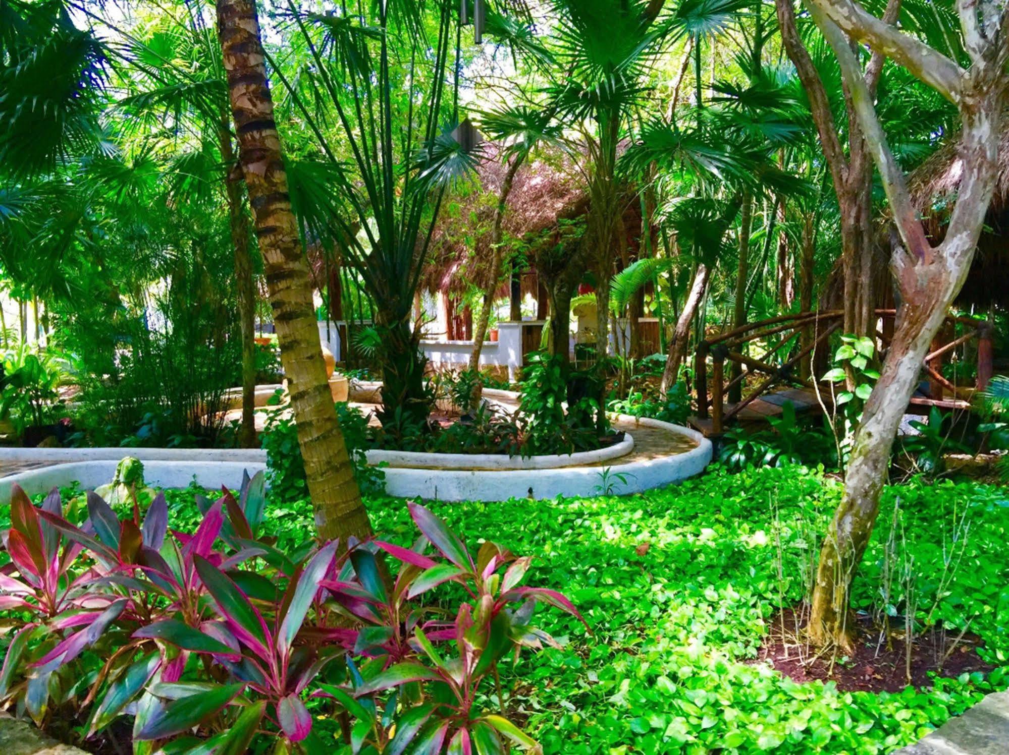 Amarte Hotel Playa del Carmen
