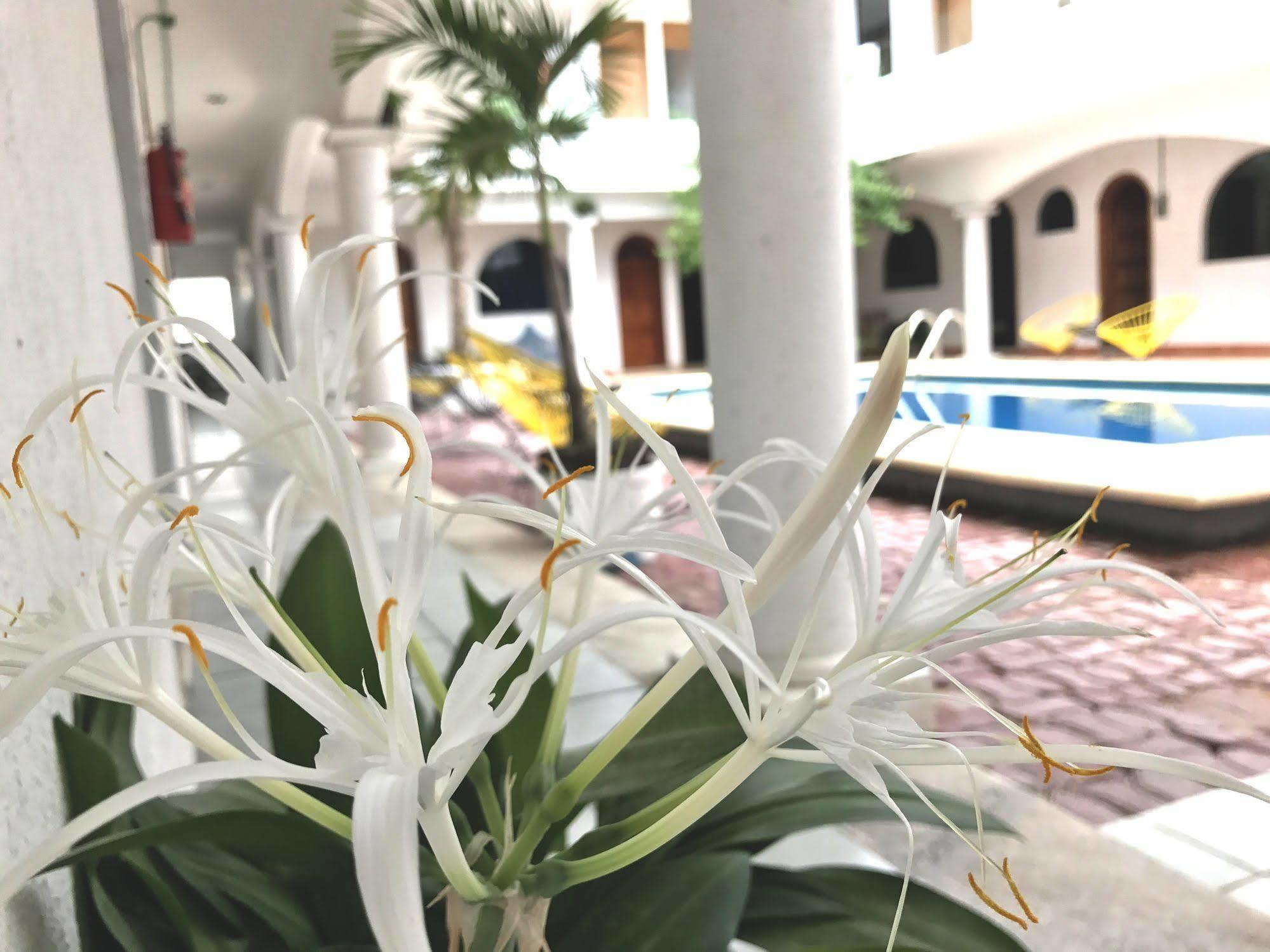 San Ignacio Hotel