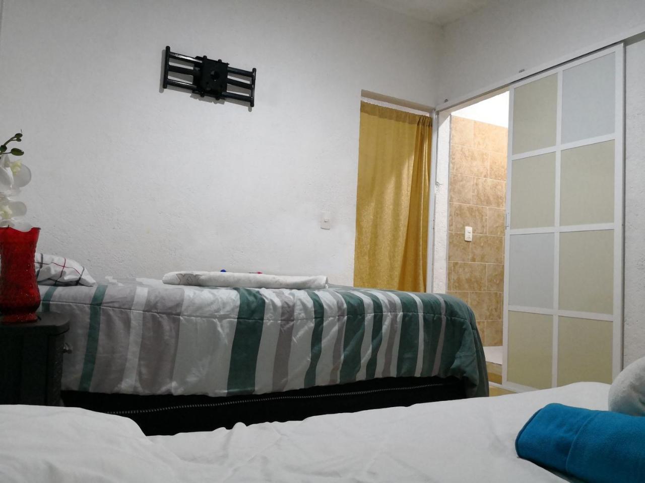 Hostel Kaban 44