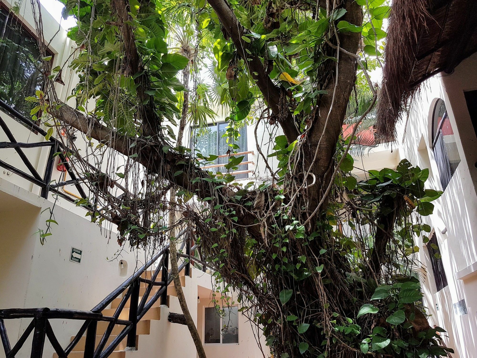 Hotel Club Yebo Playa del Carmen
