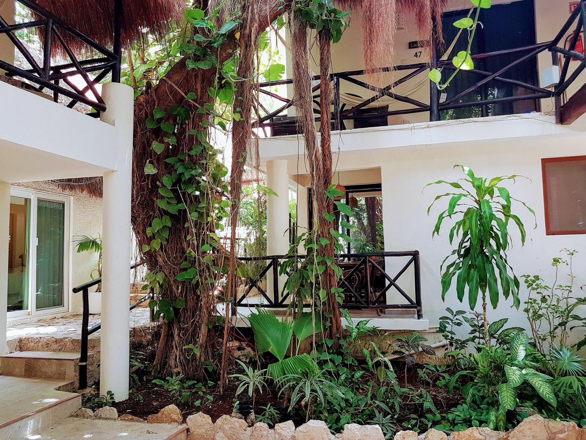 Hotel Club Yebo 3*