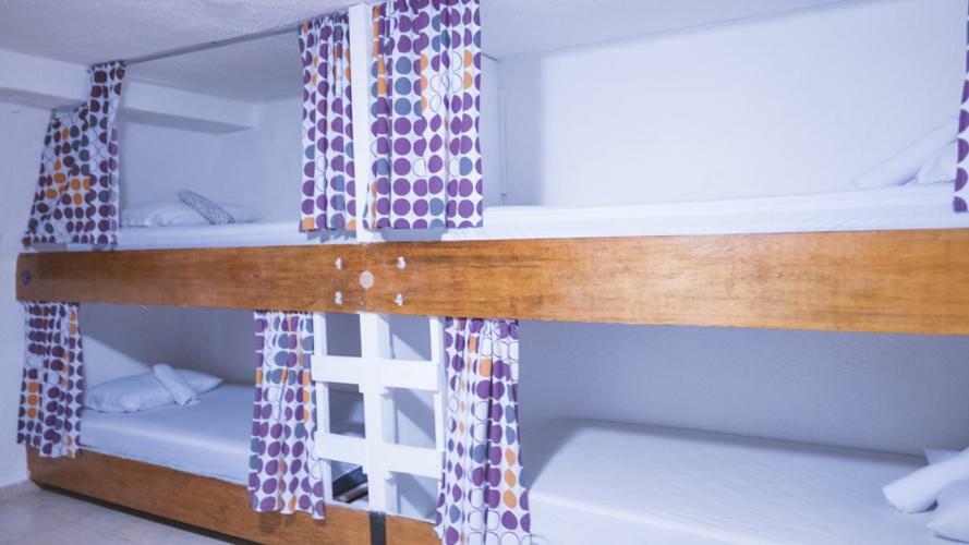 Izsla Hostel Playa Del Carmen Hostel Playa del Carmen