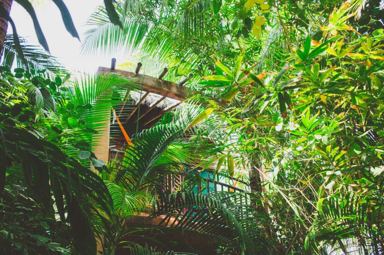 Khách sạn Cocos Adults Only Playa del Carmen