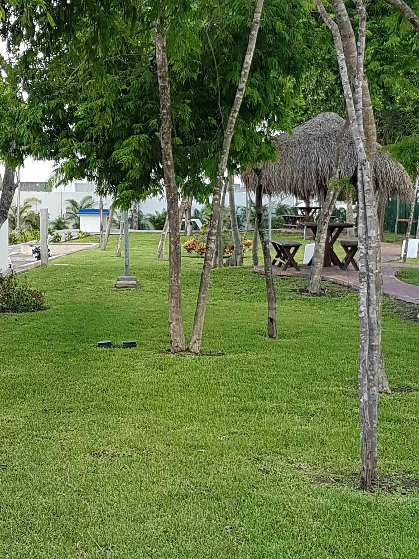 Hotel Riviera Maya Playa del Carmen