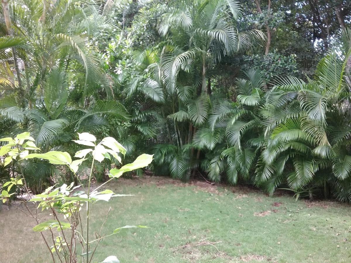 Bed & Breakfast Casa Rioja Playacar