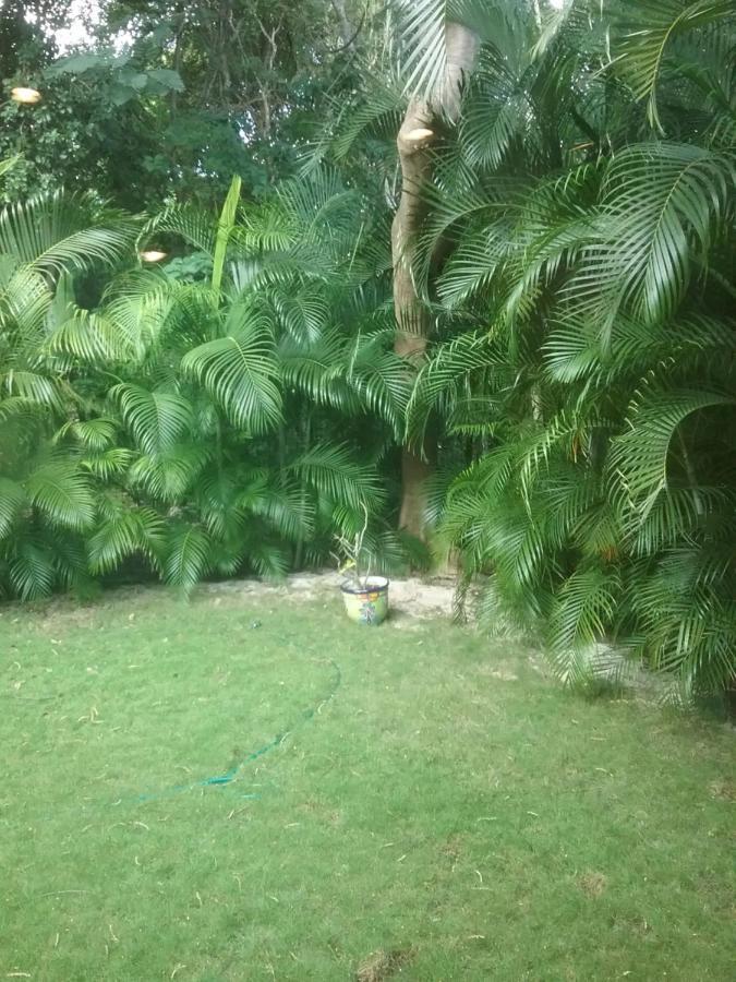Casa Rioja Playacar Bed & Breakfast