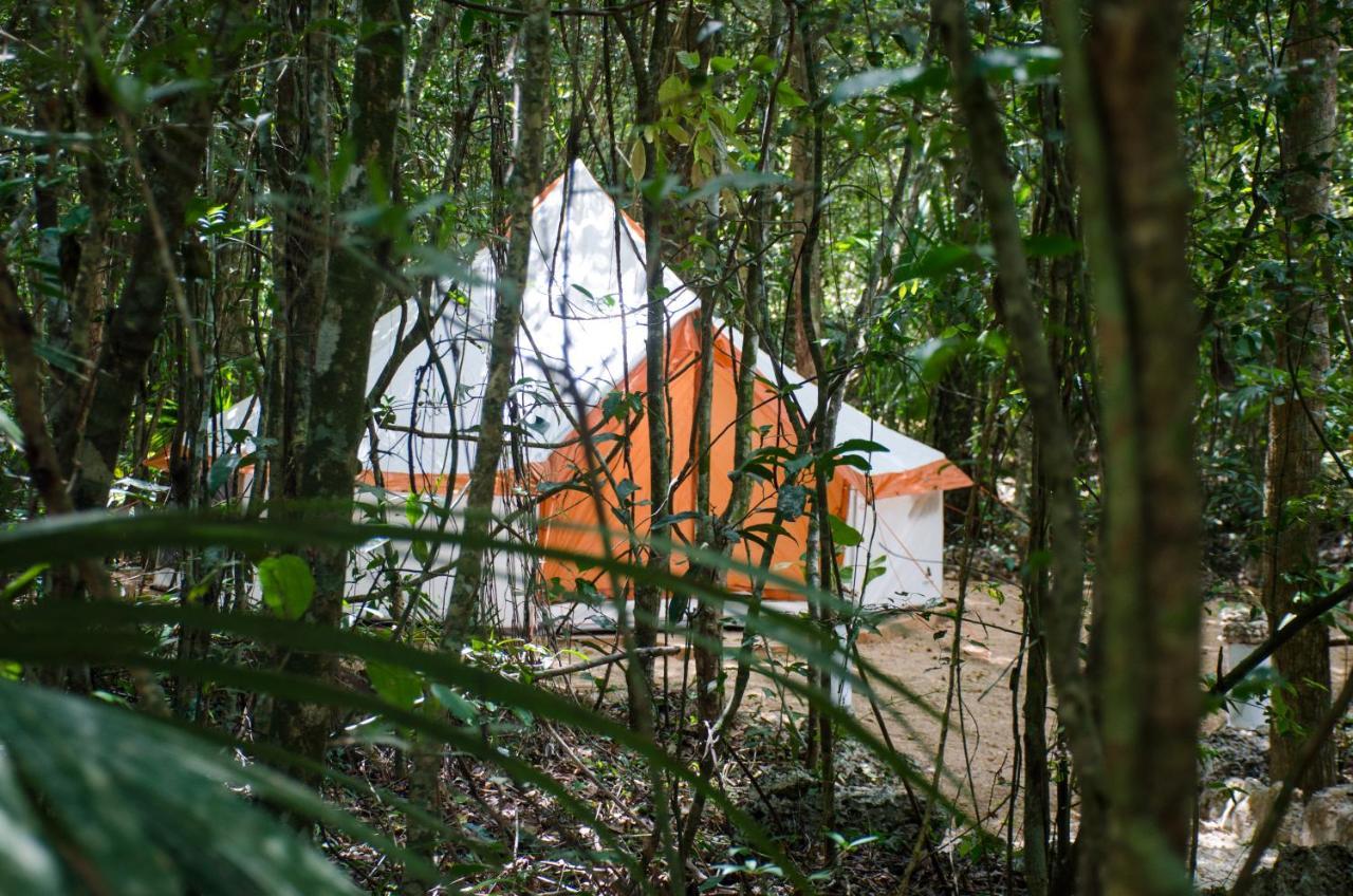Rotamundos Mama Loomm Tenda de luxo