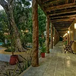Esduma Iguanas Hotel Playa Del Carmen