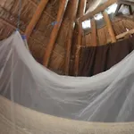 Wholeness Earthing Clubhouse
