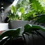 Mayan Paradise Loft
